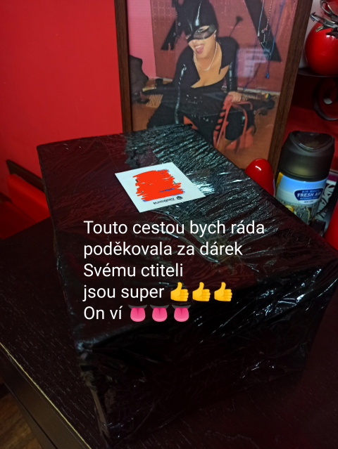 obrázek